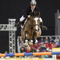 DECEMBER 2: An unidentified competitor jumps with his horse at the OTP Equitation World Cup, December 2, 2011 in Budapest, Hungary