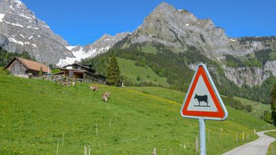 Learn about the challenges of mountain farming in the Swiss Alps