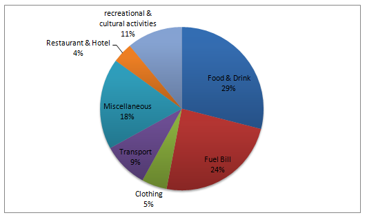 Monthly household income spent on various items - low-income group