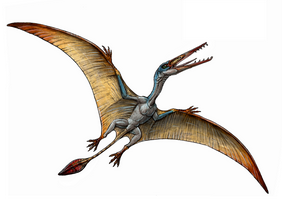 IELTS GT Reading - Pterosaur