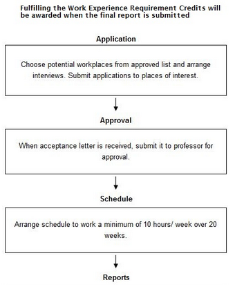 Completing work experience requirement for University students 