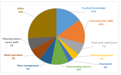 What important aspects internship students have learned