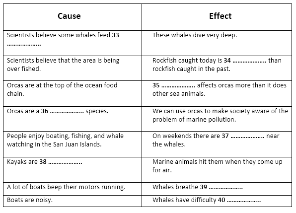 Issues Affecting the Southern Resident Orcas 