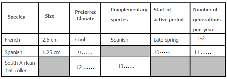 A remarkable beetle - table data completion